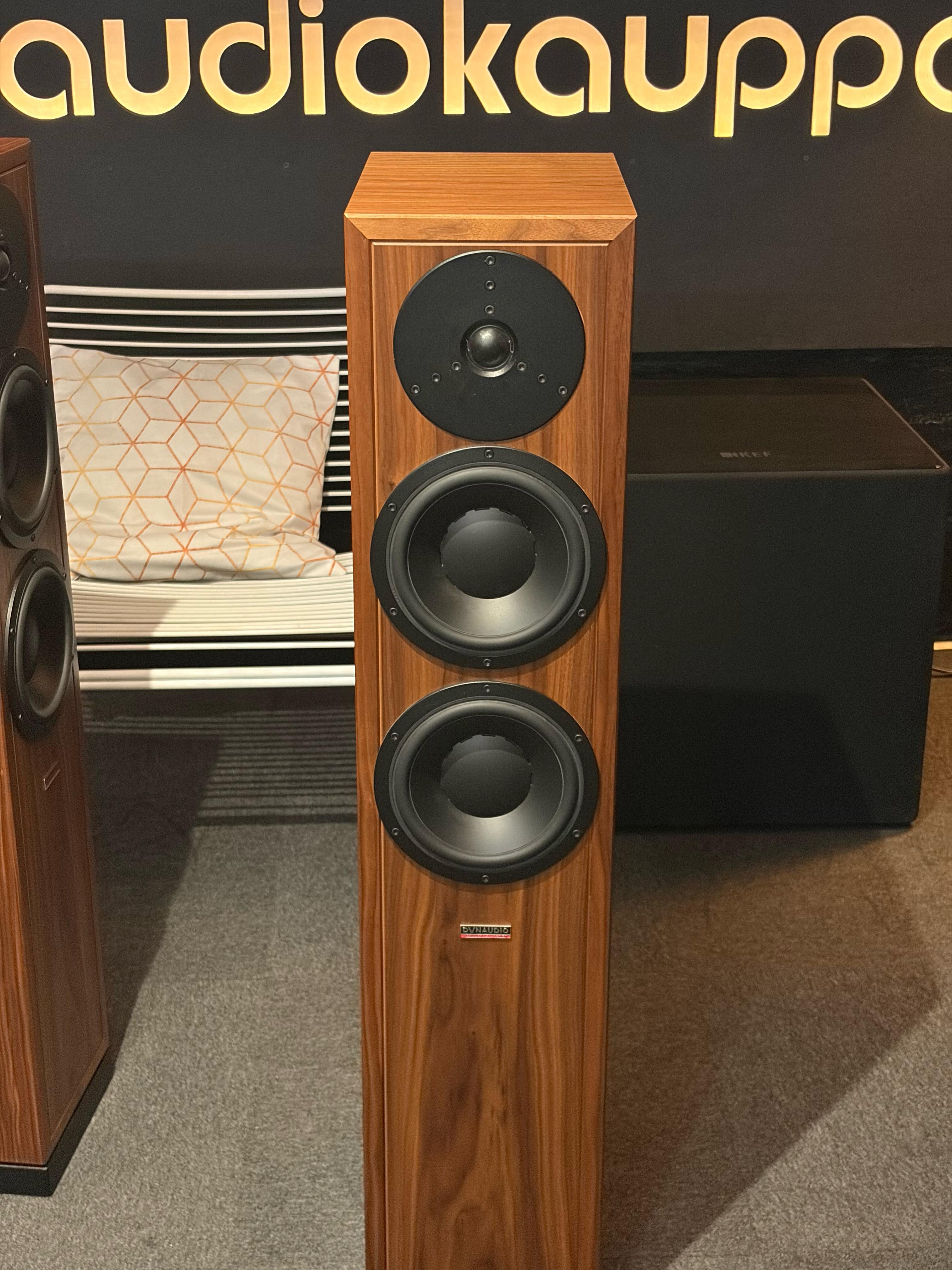 Dynaudio Contour Legacy lattiakaiutinpari, demo, Helsinki