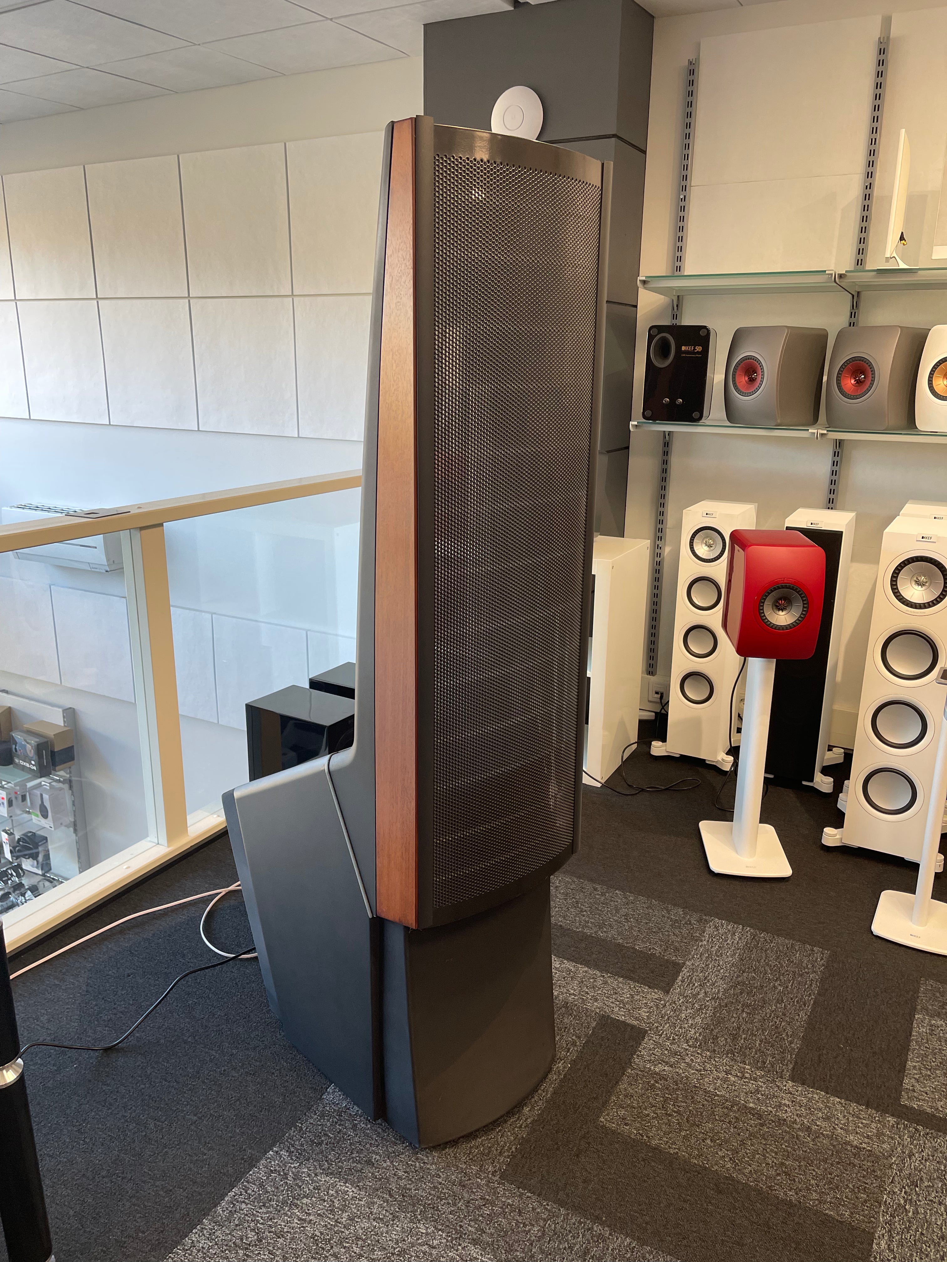 Martin 2024 logan prodigy