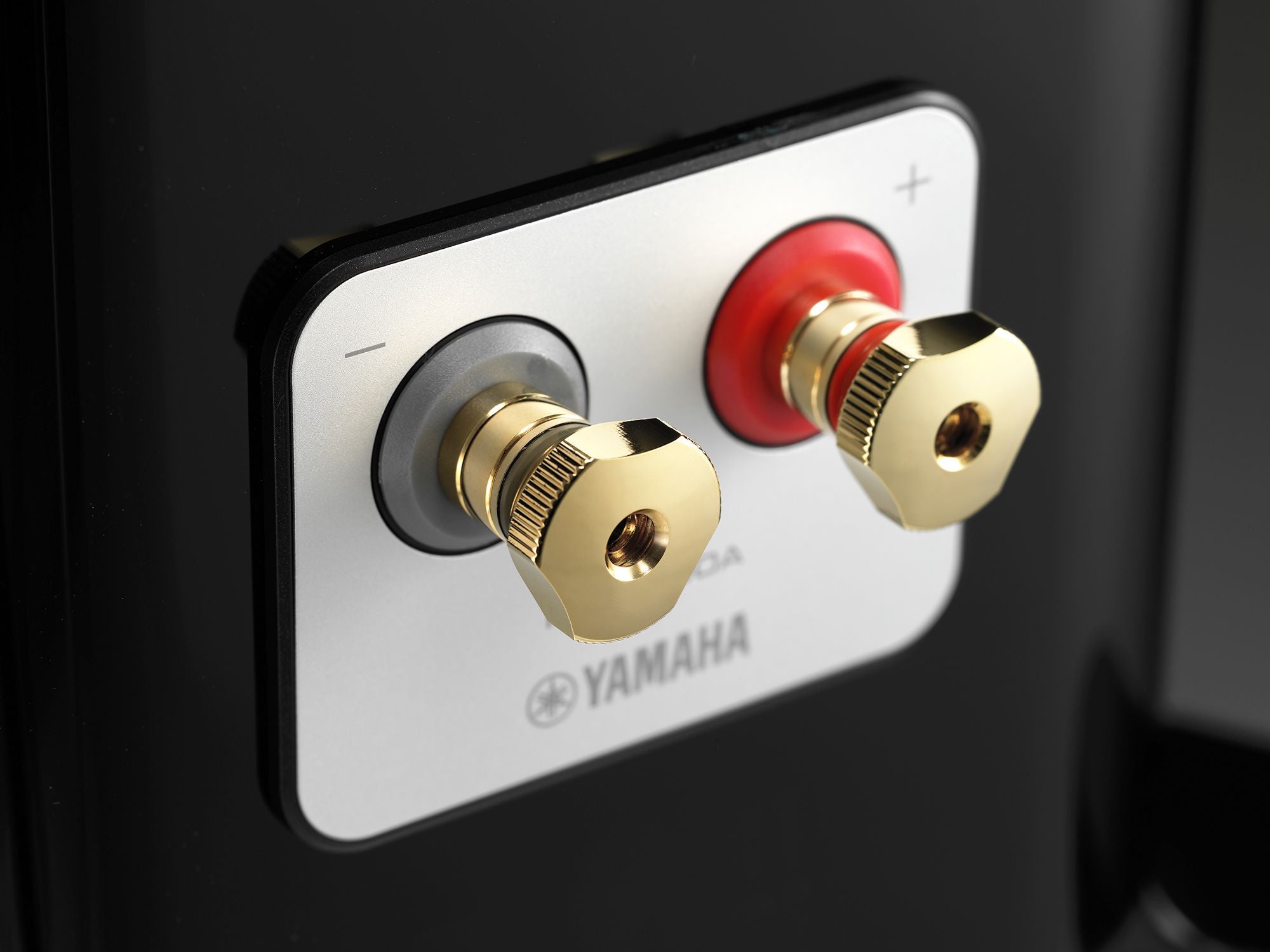 Yamaha NS-2000A lattiakaiutinpari