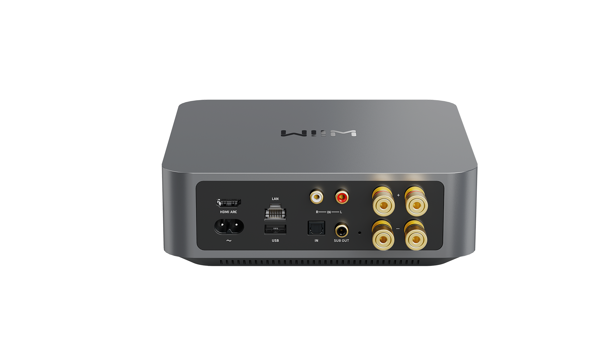 Wiim Amp network amplifier