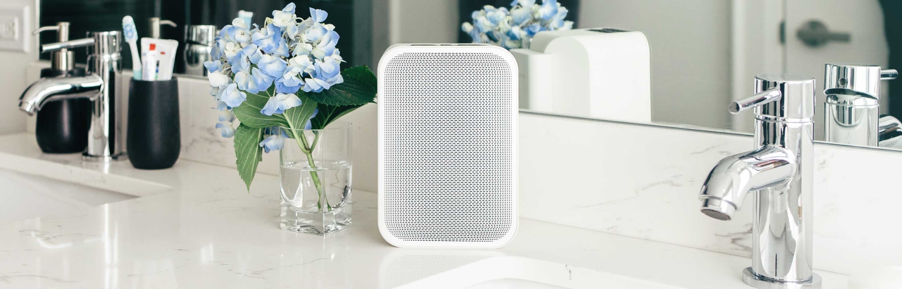 BLUESOUND PULSE FLEX 2i langaton verkkokaiutin