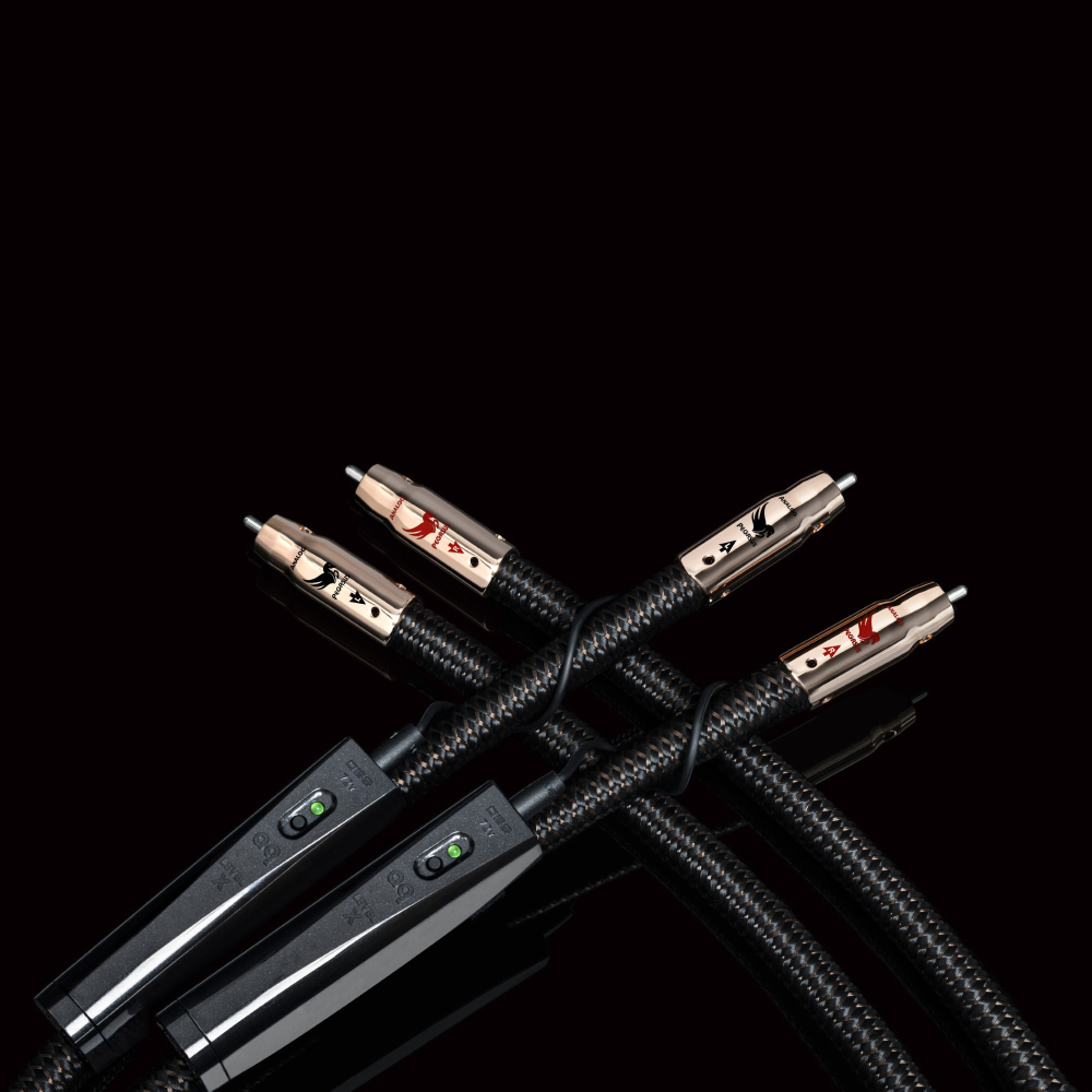 AudioQuest Pegasus RCA cable pair