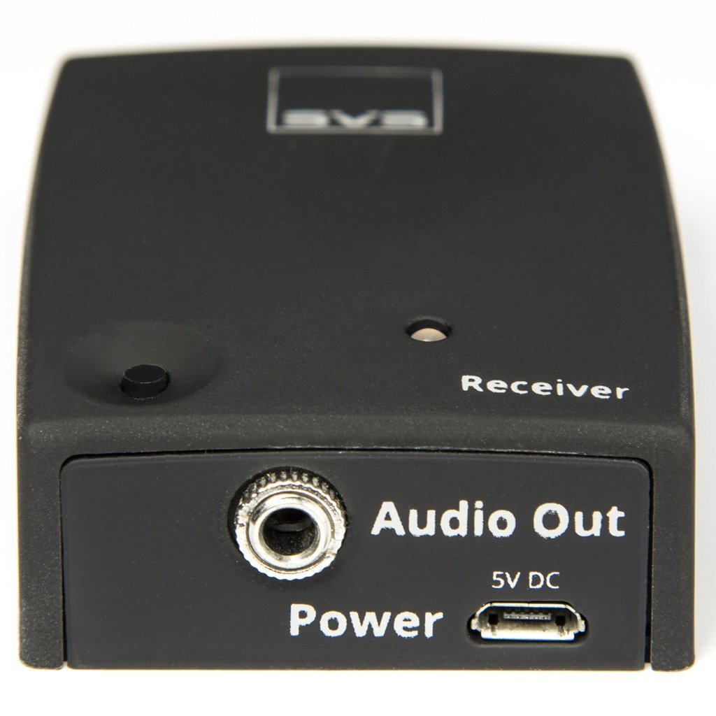 SVS Soundpath Wireless adapter