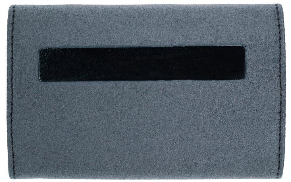 iFi Gryphon Case protective case