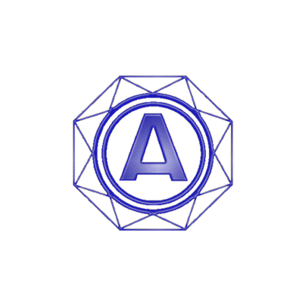 Nagaoka JN-P300 neula