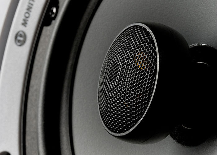 Monitor Audio Pro-65 Submersible Speaker