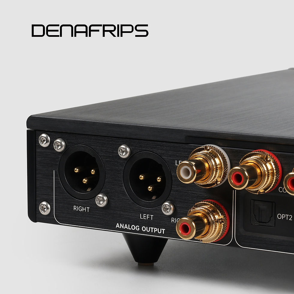 Denafrips Erato R-2R DAC