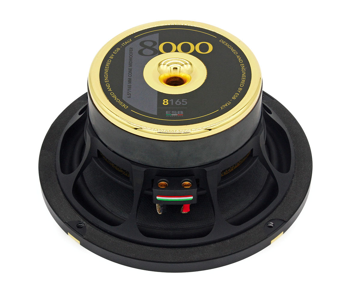 ESB Audio 8.165 6.5"/165 mm Woofer (pair)