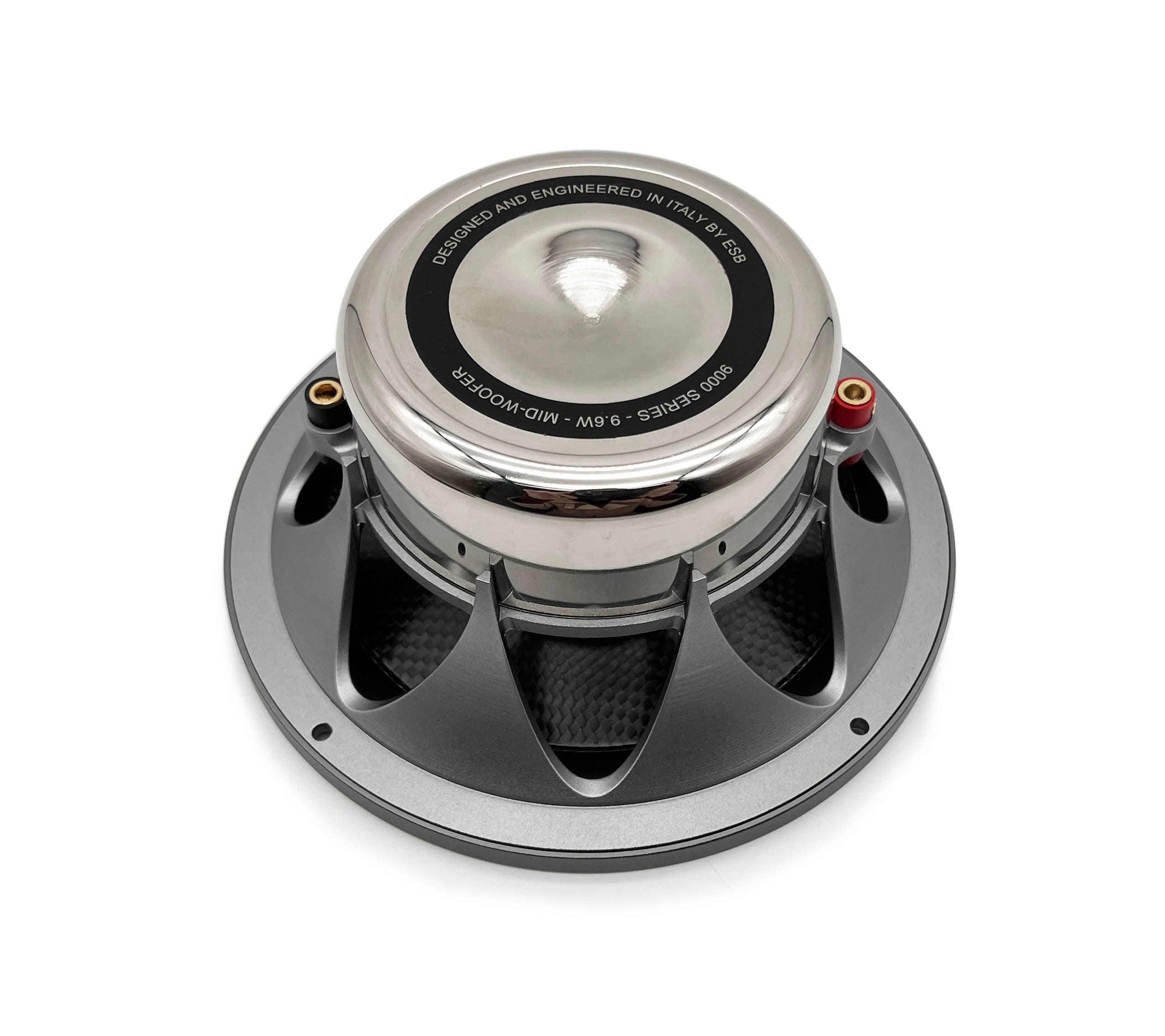 ESB Audio 9.6W 6.5"/165 mm Woofer (pair)