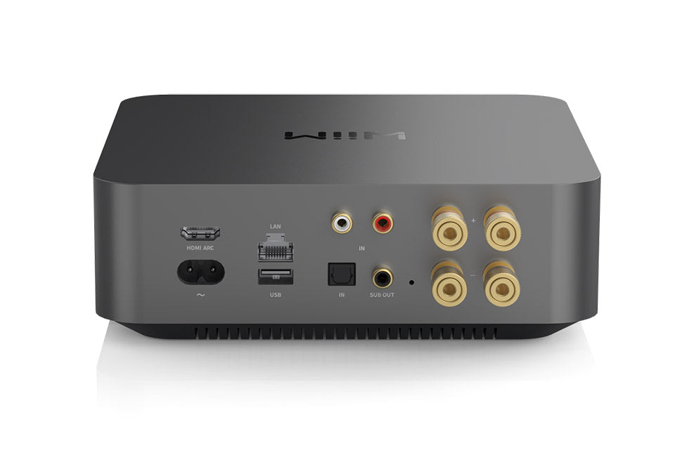 Wiim Amp PRO network amplifier