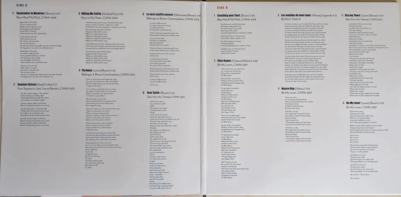 Vinyyli LP: Anne Bisson - The Essentials