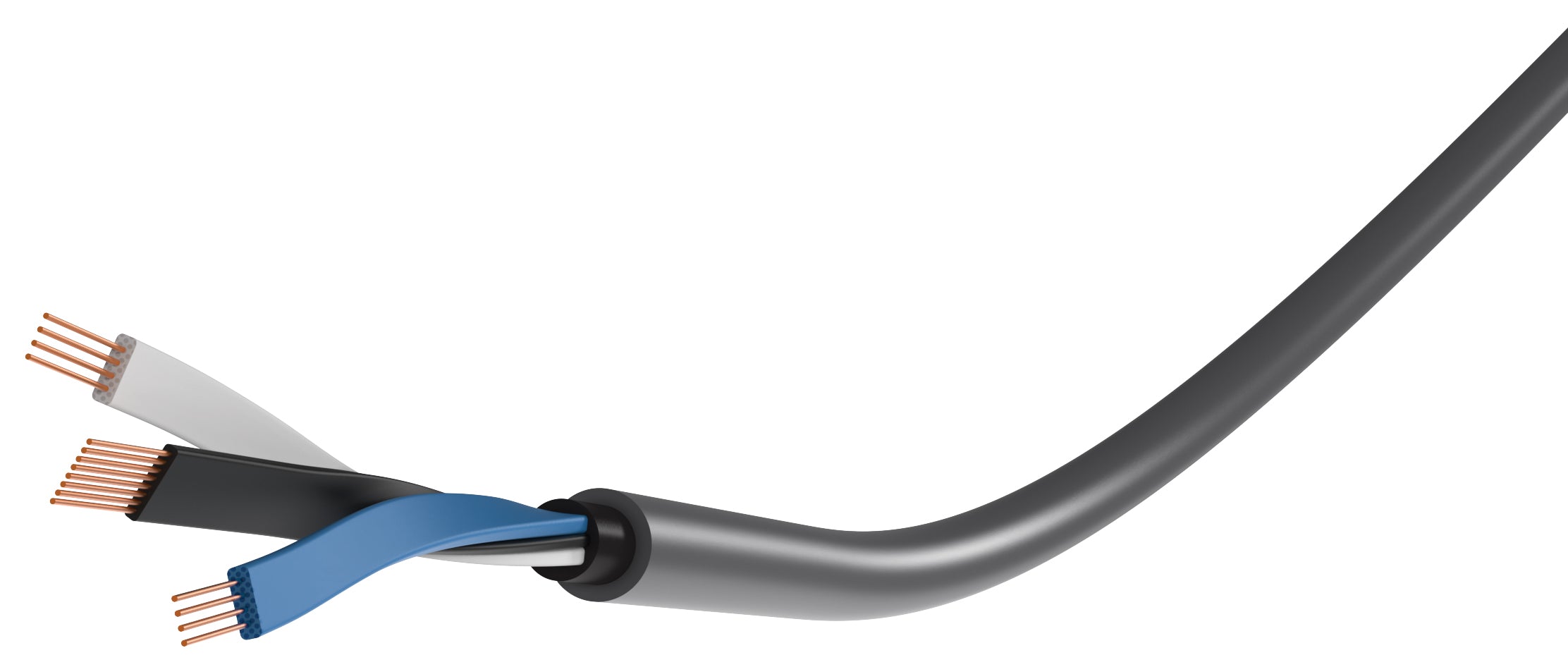 WireWorld Equinox 10 RCA tai XLR kaapeli