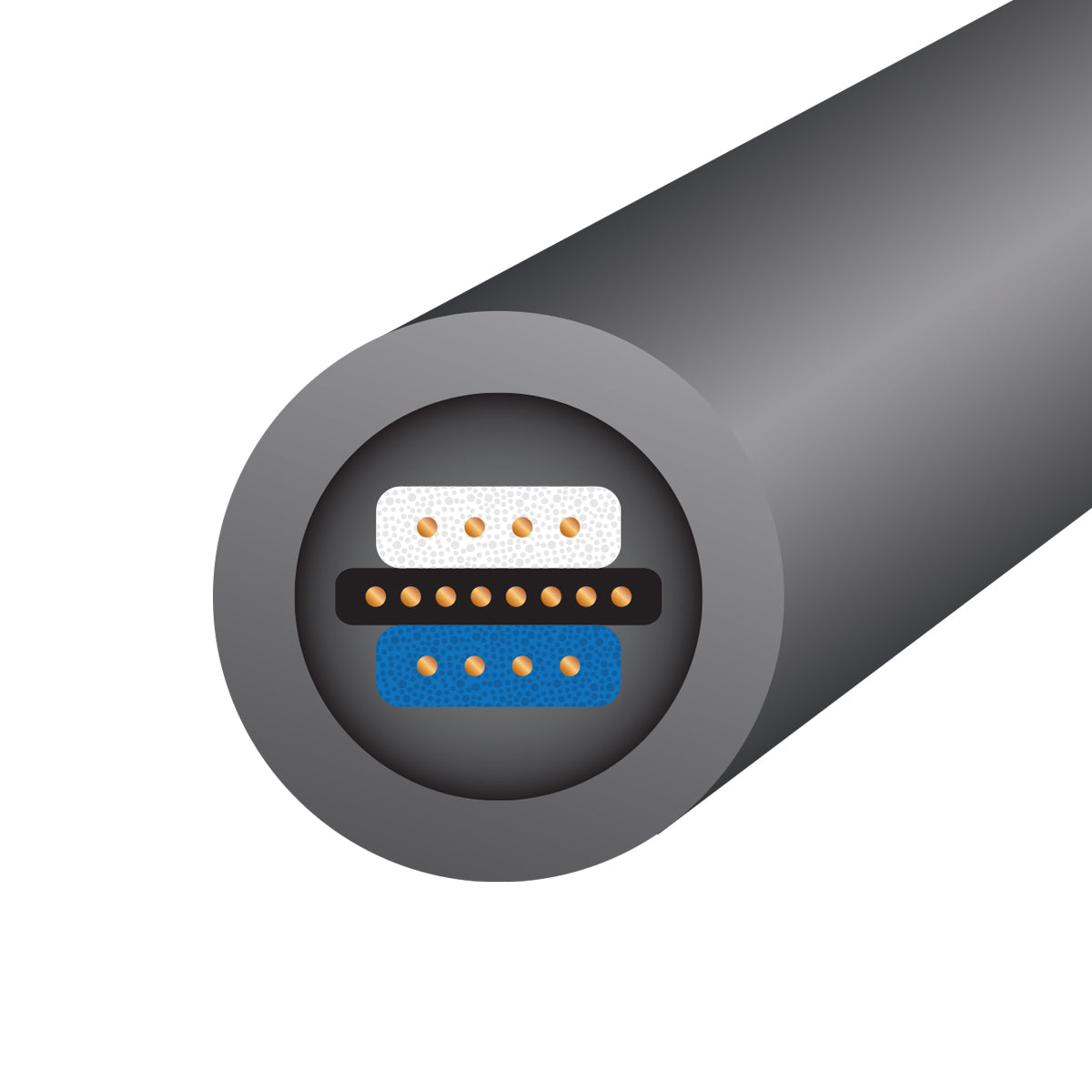 WireWorld Equinox 10 RCA tai XLR kaapeli