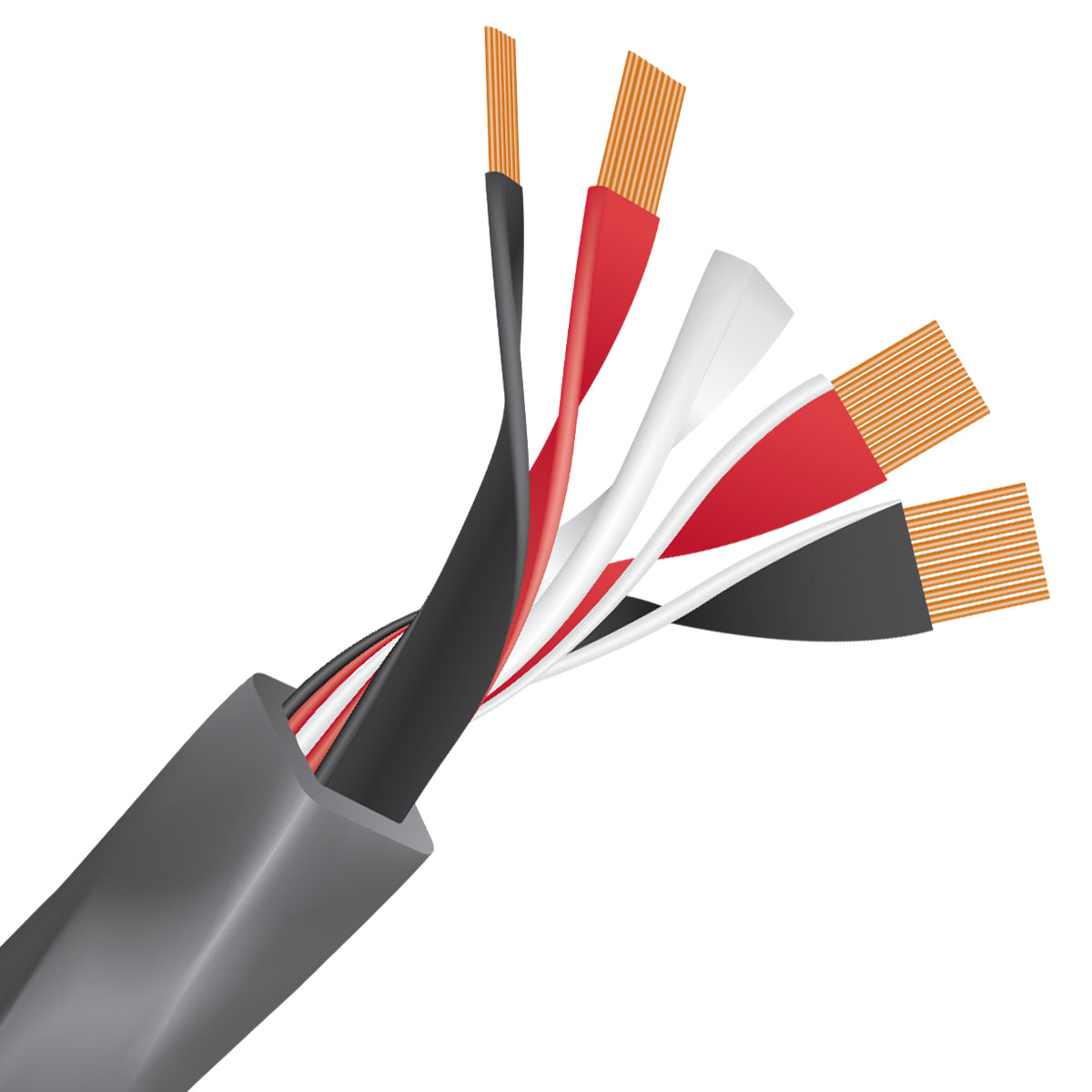 WireWorld Equinox 10 speaker cable pair, 2.5 m set