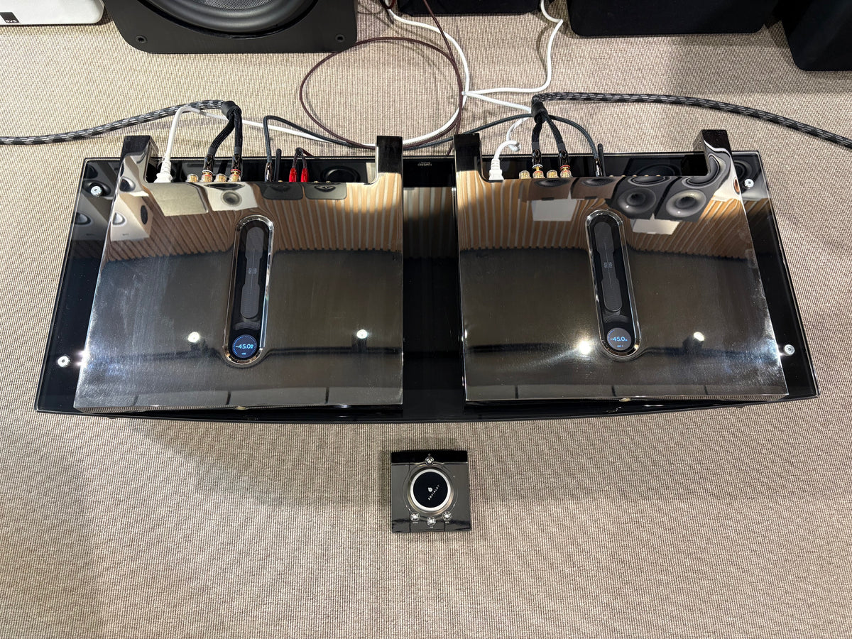 Devialet Expert 1000 PRO DUAL -vahvistin, VAIHTOLAITE