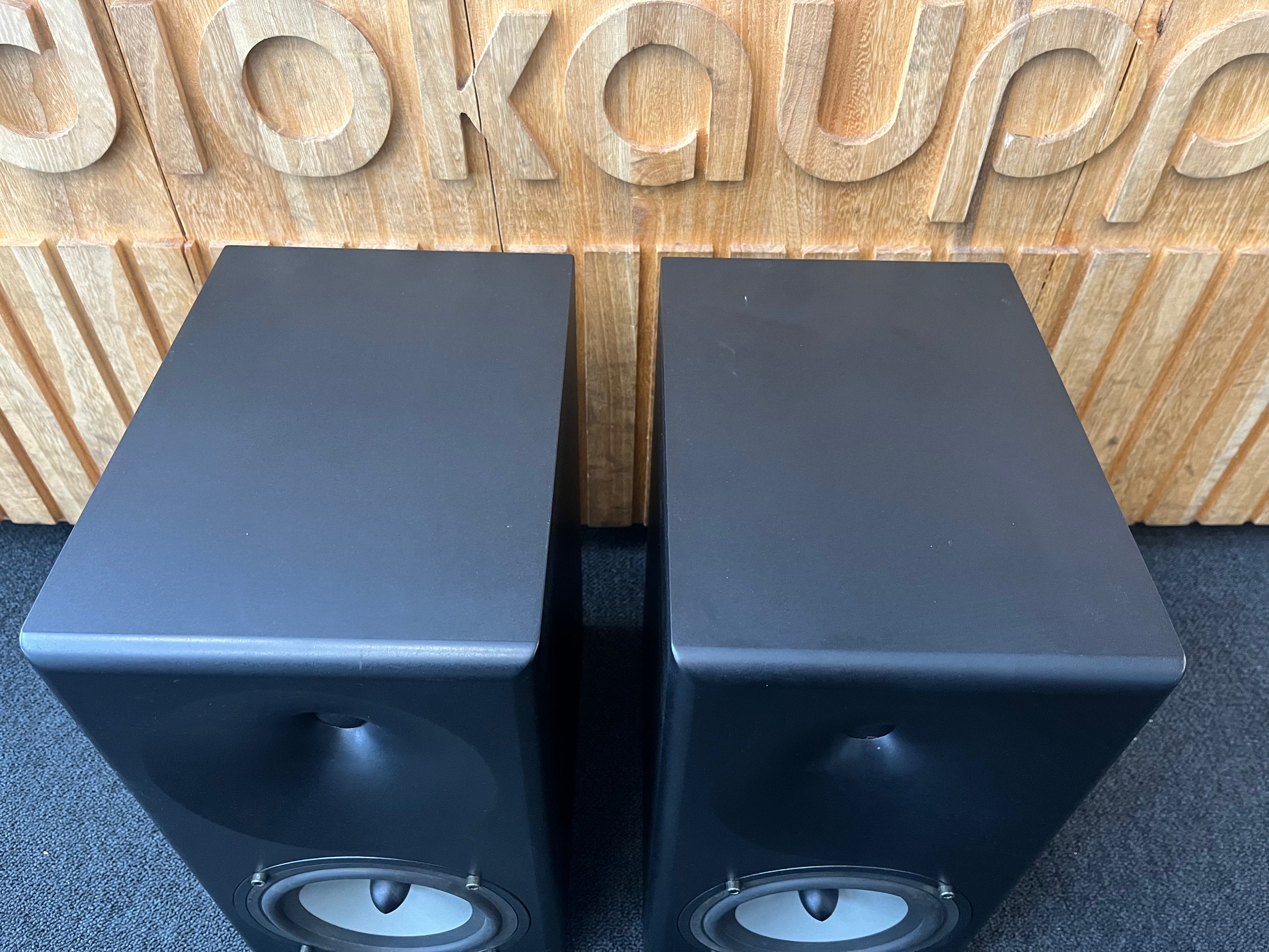 Amphion Argon used speaker pair, Oulu