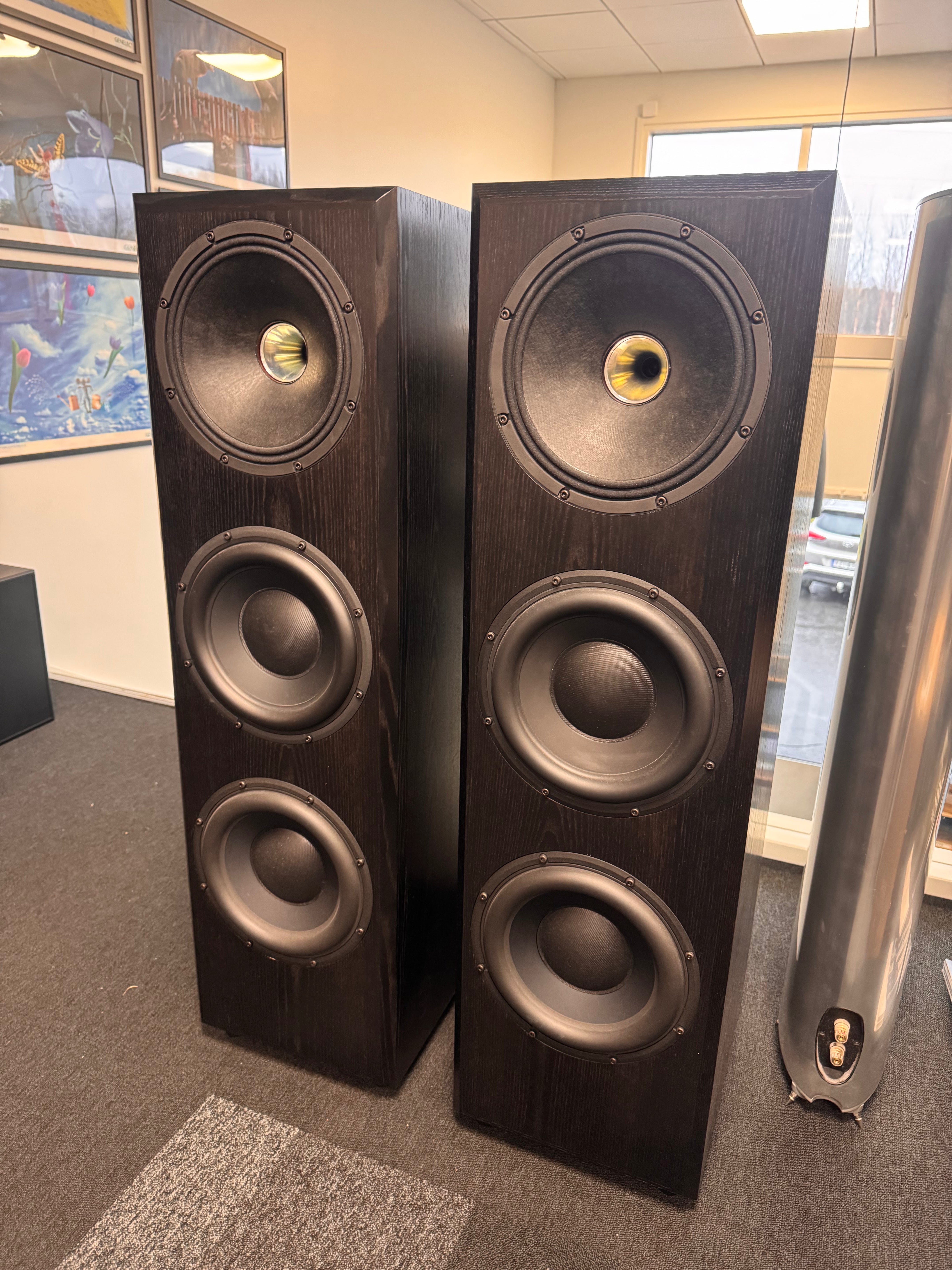 Taipuu Speakers Custom 3x10"+kompura