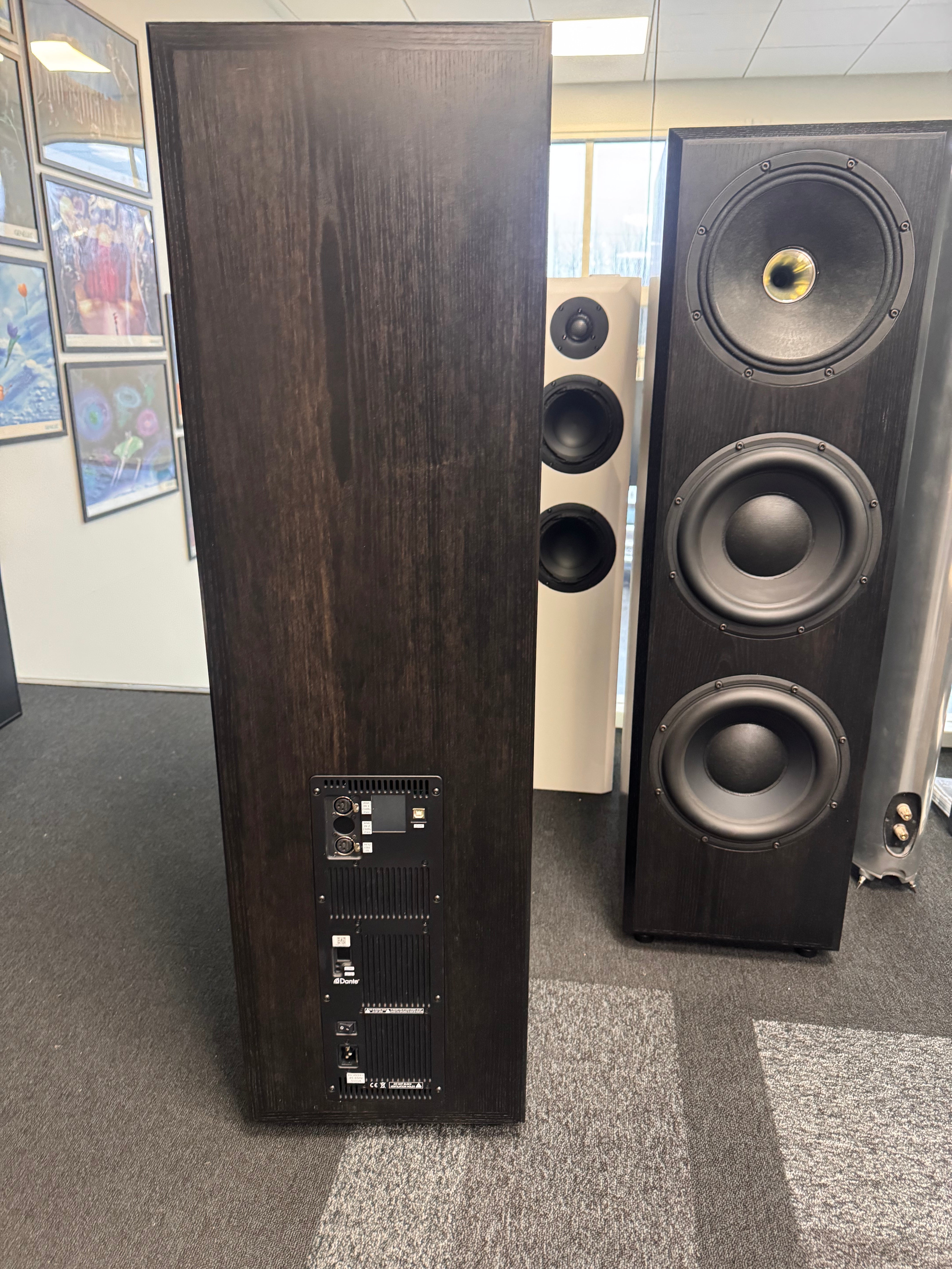 Taipuu Speakers Custom 3x10"+kompura