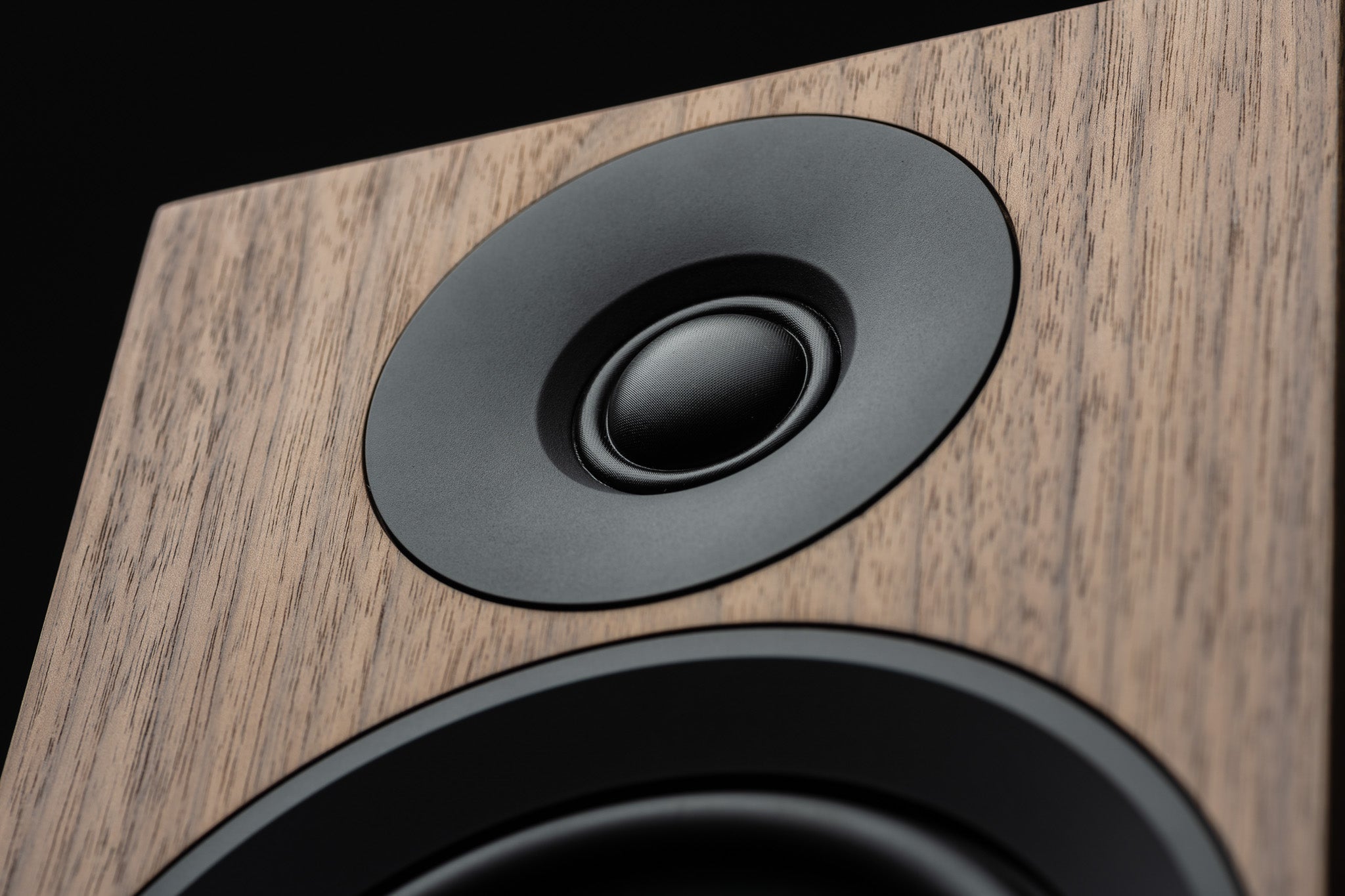 Pro - Ject Speaker Box 5 E Carbon kirjahyllykaiutinpari - Audiokauppa.fi