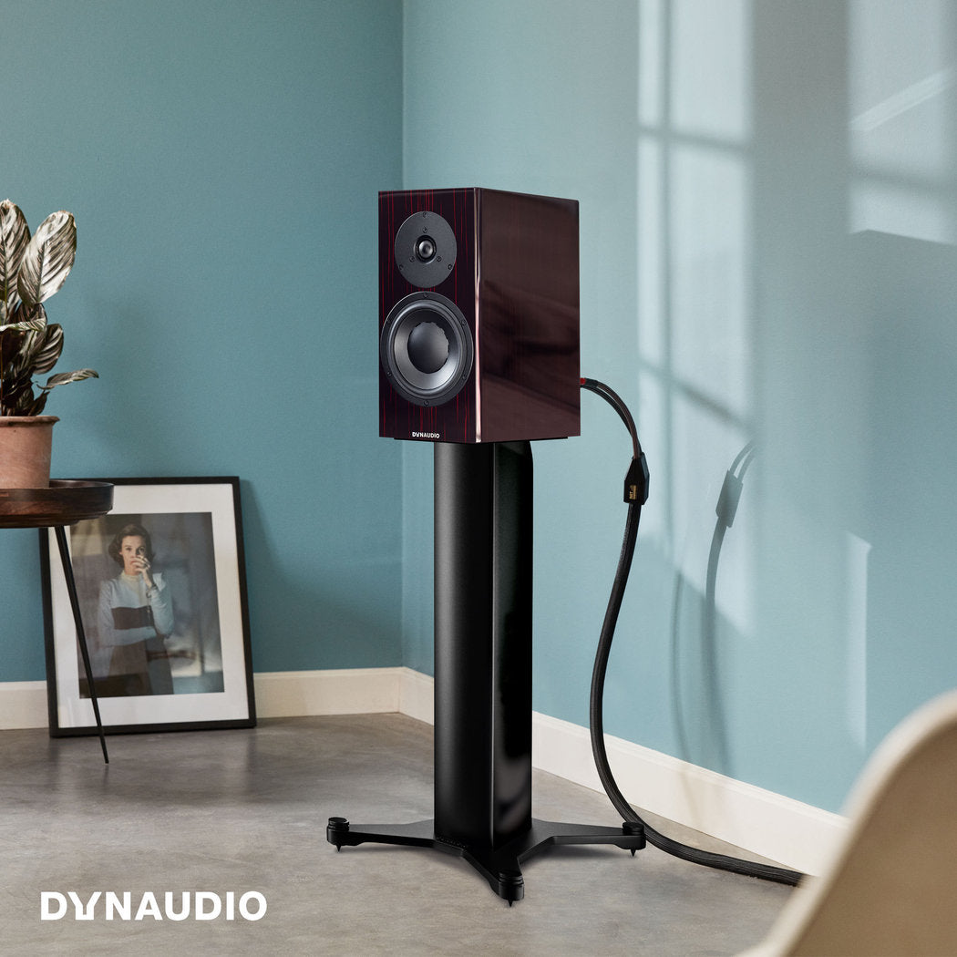 Dynaudio Special Forty party model