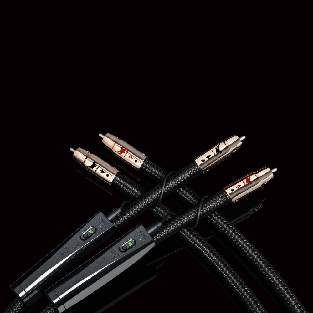 AudioQuest Pegasus RCA - kaapelipari - Audiokauppa.fi