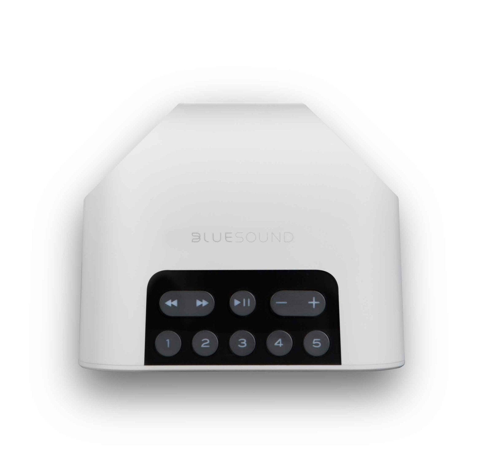 BLUESOUND PULSE FLEX 2i langaton verkkokaiutin - Audiokauppa.fi