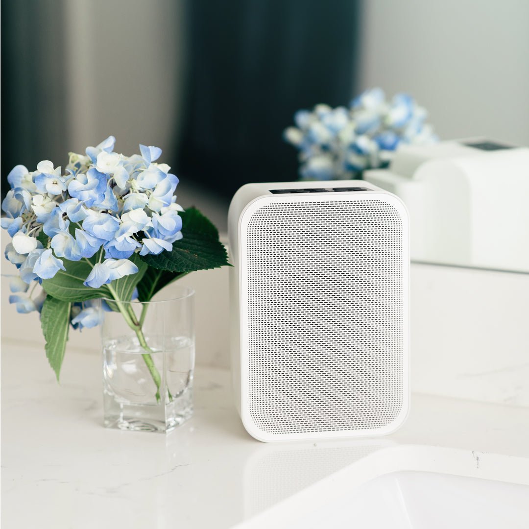 BLUESOUND PULSE FLEX 2i langaton verkkokaiutin - Audiokauppa.fi