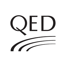 QED Performance Y-SW adapter